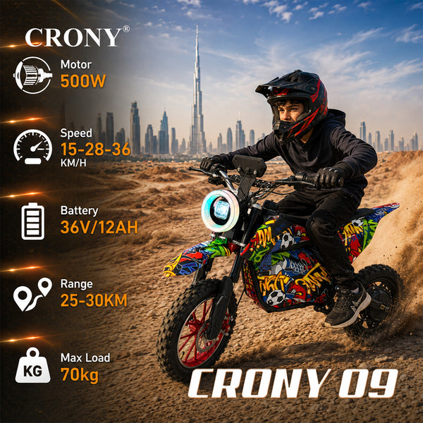 CRONY-09 Street Dance Electric Dirt Bike 350W Motor, 36V 12Ah Battery, 14 Inch Off-Road Tires, Up to 36KM/H Speed, LCD Display, LED Headlight, Bluetooth Speaker, Electric Motorcycle for Outdoor Riding, Durable Design, 1 Year Motor Warranty