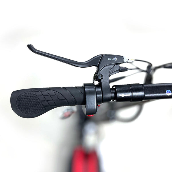 CRONY V10 Pro Red max speed 35km/h Fast Speed E-scooter 38v 1000w strong powerful electric scooter foldable 10 inch electric scooter (Refurbished)