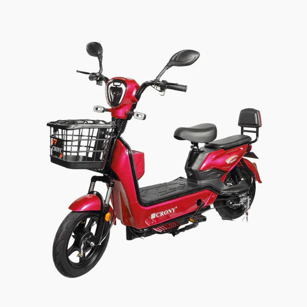 CRONY W8 Golden Eagle Long Range Bike, 14-inch Tires 350W Motor for Adults