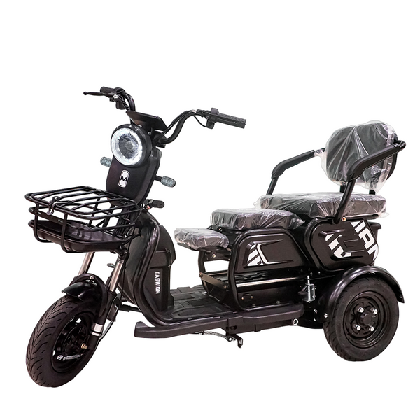 CRONY X3B motorcycle electric bike 350W 48V Electric Motorcycle Electric Bicycles 3 wheel motorcycle