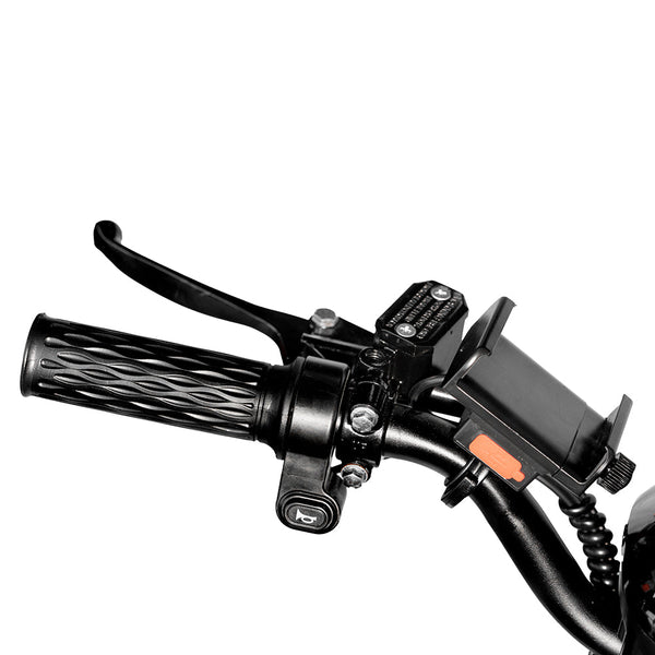 CRONY 18inch Take-out electric bicycle BIKE Fast food delivery electric bike