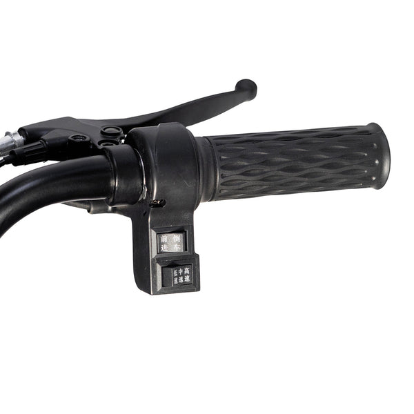 X3B motorcycle electric bike 350W 48V electric motorcycle Electric Bicycles 3 wheel motorcycle