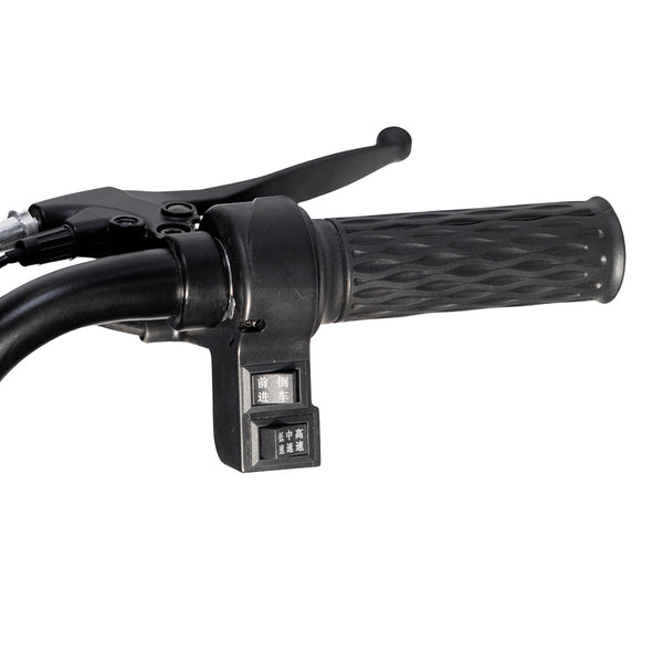 CRONY X3B motorcycle electric bike 350W 48V Electric Motorcycle Electric Bicycles 3 wheel motorcycle