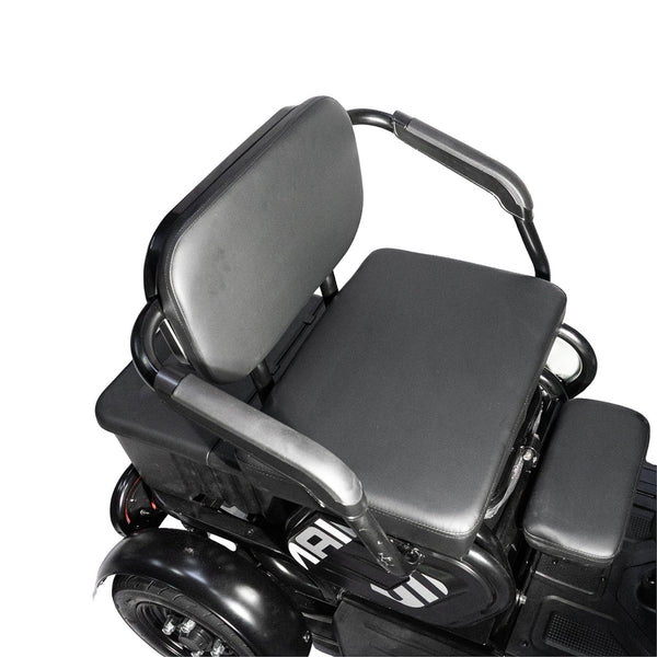 X3B motorcycle electric bike 350W 48V electric motorcycle Electric Bicycles 3 wheel motorcycle