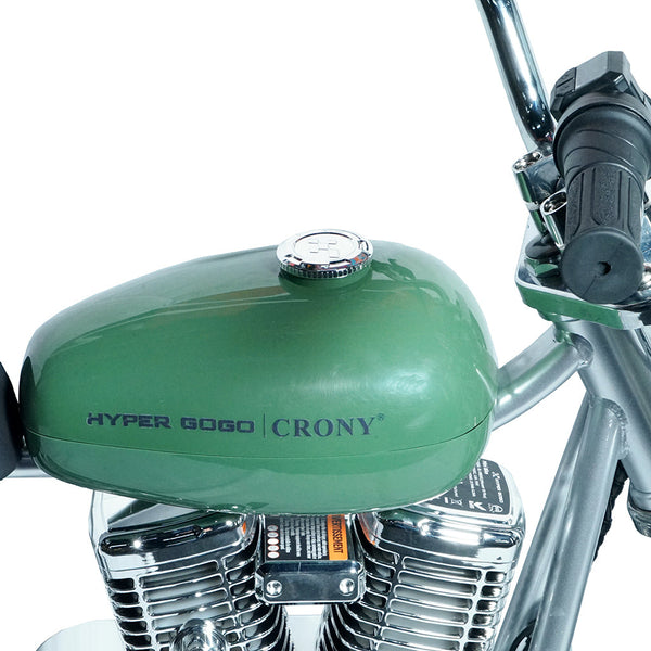 CRONY EL-MB05C Electric Scooter 160W Motor 22.2V/5.2AH Battery 10-12KM Range Normal Brake LCD Display Kids Electric Motorbike Scooter