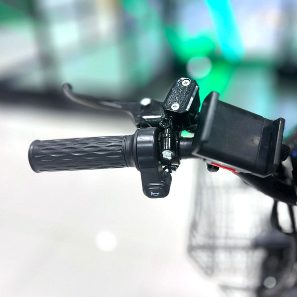 CRONY 18inch Take-out electric bicycle BIKE Fast food delivery electric bike