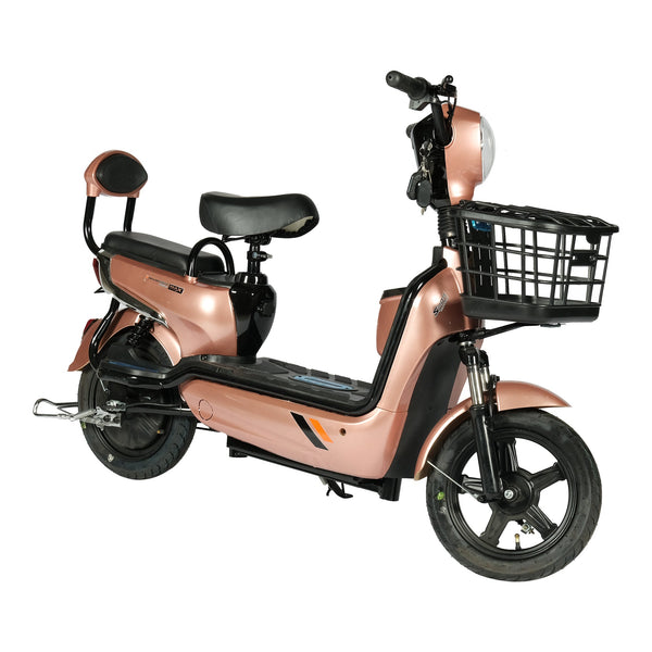 CRONY W3 motorcycle electric bike 350W 48V electric motorcycle Electric Bicycles