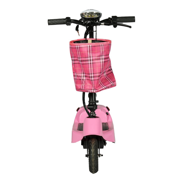 CRONY W5 motorcycle electric bike 180W 25V electric motorcycle Electric Bicycles