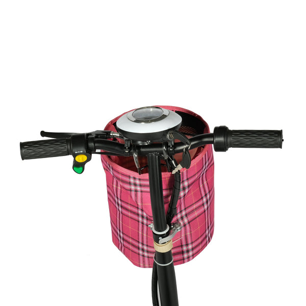 CRONY W5 motorcycle electric bike 180W 25V electric motorcycle Electric Bicycles