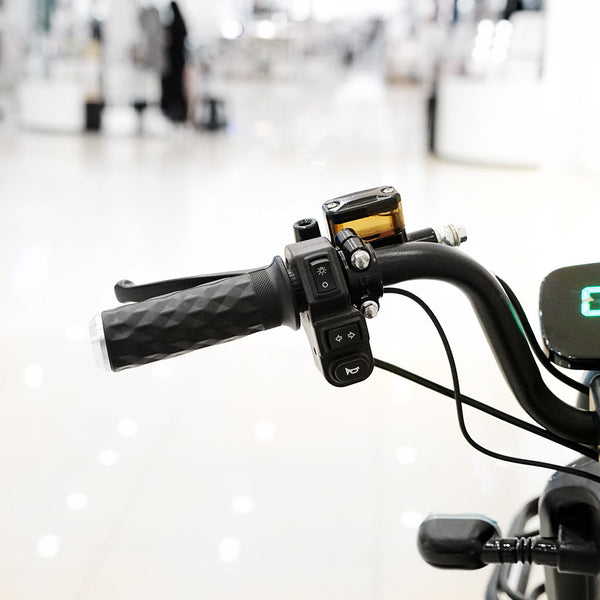 CRONY NEW TAKE-OUT ELECTRIC BICYCLE 500W Motor 60V 20AH Battery 40-70KM Range Disc Brake
