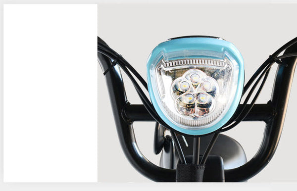 W4 motorcycle electric bike 350W 48V electric motorcycle Electric Bicycles