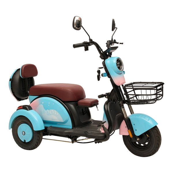 X3B motorcycle electric bike 350W 48V electric motorcycle Electric Bicycles 3 wheel motorcycle