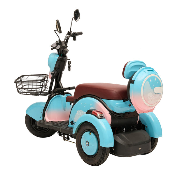 X3B motorcycle electric bike 350W 48V electric motorcycle Electric Bicycles 3 wheel motorcycle