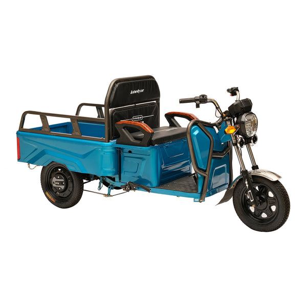 X2A X2B X2C Heavy 3 Wheeler Electronic Big Truck 500W Electric Bicycles