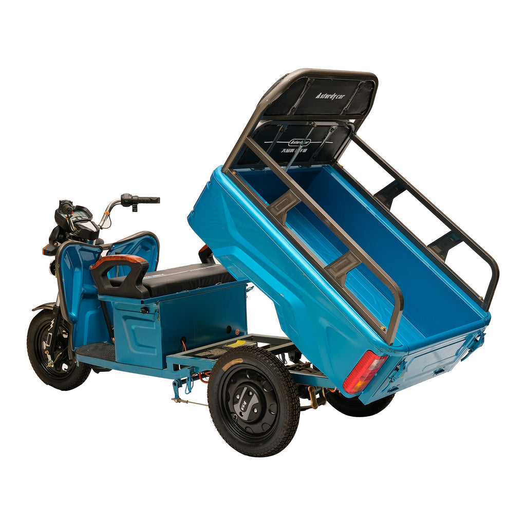 X2A X2B X2C Heavy 3 Wheeler Electronic Big Truck 500W Electric Bicycles