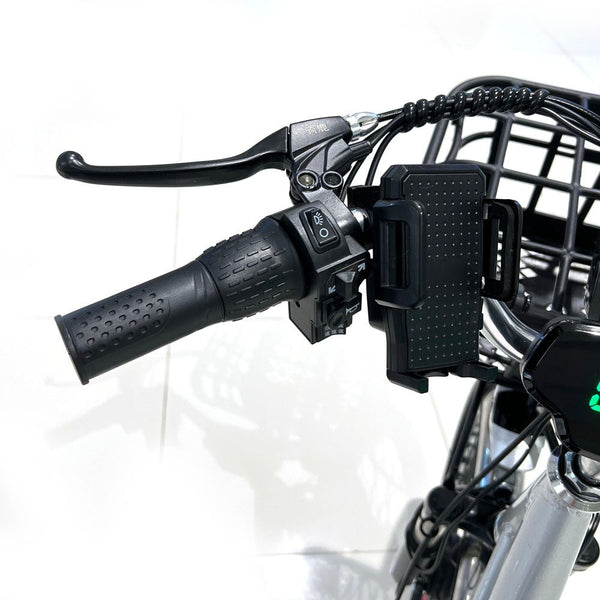 CRONY 22 Inch Ilan Princess Electric Car 350w 48v mid drive city electric bike removable lithium battery bicycle - Edragonmall.com