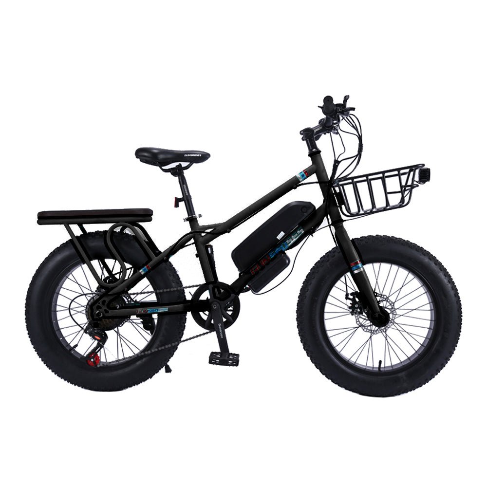CRONY 22 inch sand electric vehicle Outdoor desert riding electric bicycle | Black - Edragonmall.com
