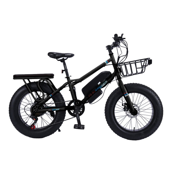 CRONY 22 inch sand electric vehicle Outdoor desert riding electric bicycle | Black - Edragonmall.com
