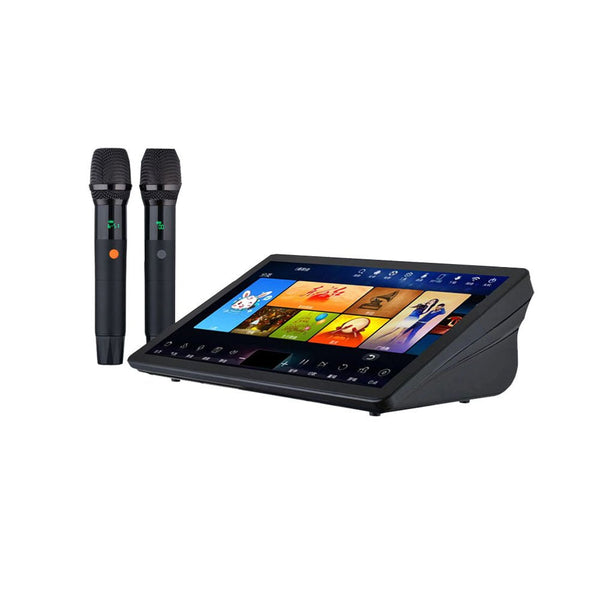 CRONY AK-2200 high power karaoke with Amplifier Mic effects karaoke system singing system KTV - Edragonmall.com