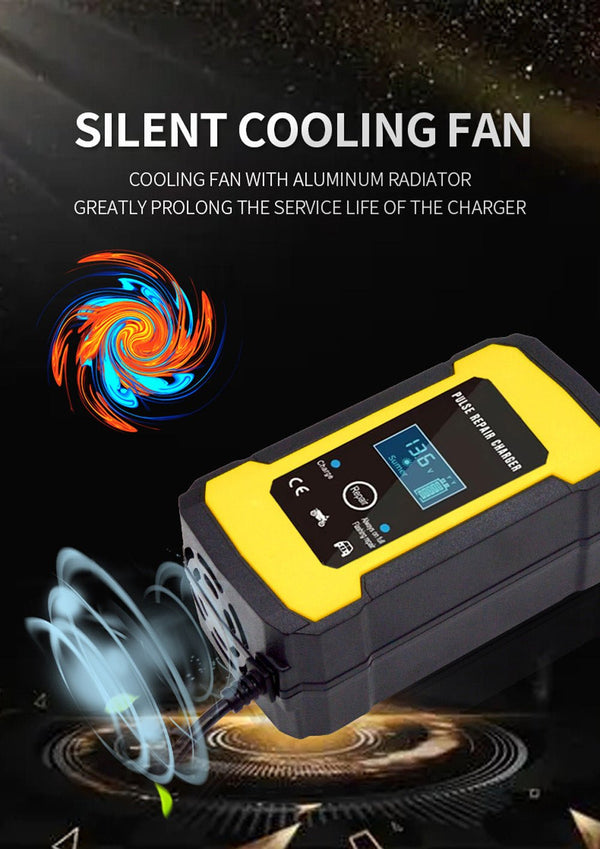 CRONY Powerful charger for 12V lead-acid battery - Edragonmall.com