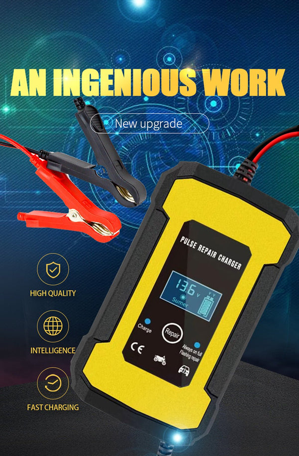 CRONY Powerful charger for 12V lead-acid battery - Edragonmall.com