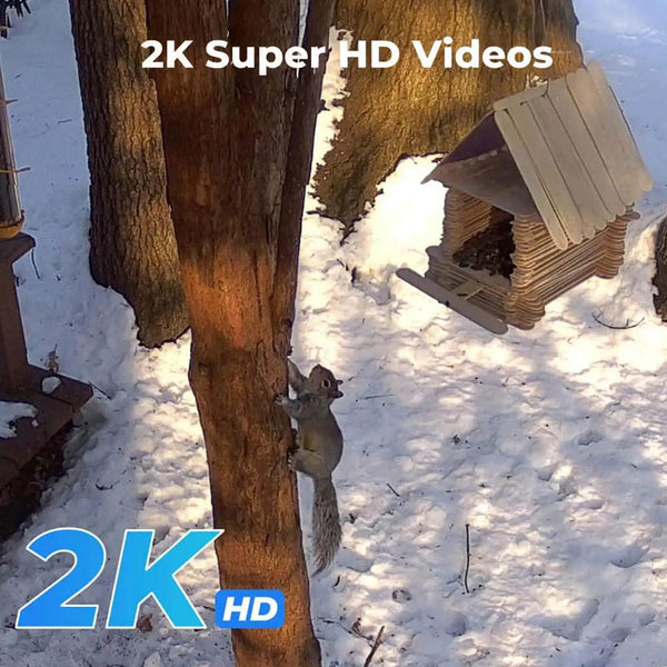 CRONY RBX-SL100 Micro power 24H Record 4G solar camera 4G ITE Wireless Security Camera Color Night Vision PIR Motion Detection - Edragonmall.com