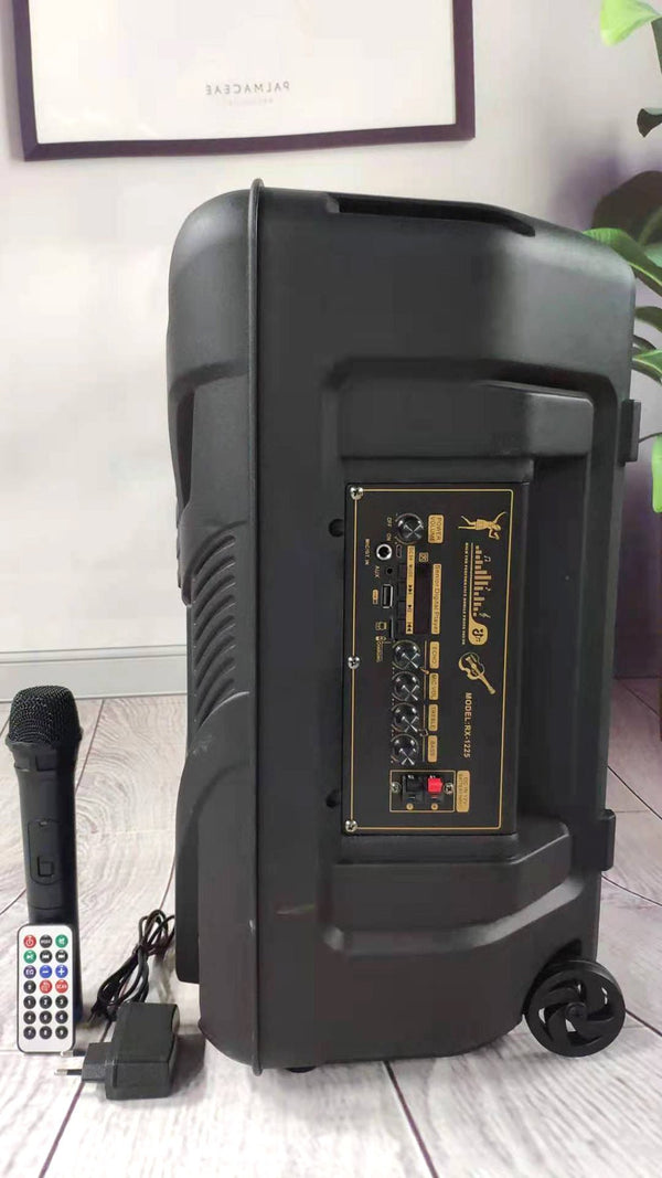 CRONY RX-1225B Portable party speaker 12 inch bull LED portable speaker - Edragonmall.com