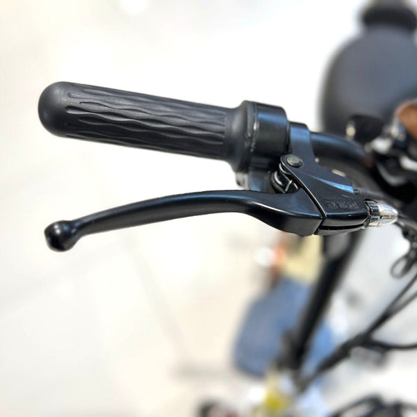 CRONY T8 Electric Delivery express Bicycle electrical scooter 12 inch 48v 10Ah electric bike - Edragonmall.com