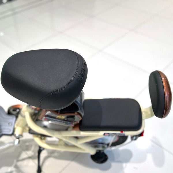 CRONY T8 Electric Delivery express Bicycle electrical scooter 12 inch 48v 10Ah electric bike - Edragonmall.com