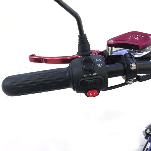 CRONY X1 Harley Electrocar car With BT Speaker 65KM/H Electrocar car Citycoco Fat Tire Electric motorcycle | Flag - Edragonmall.com