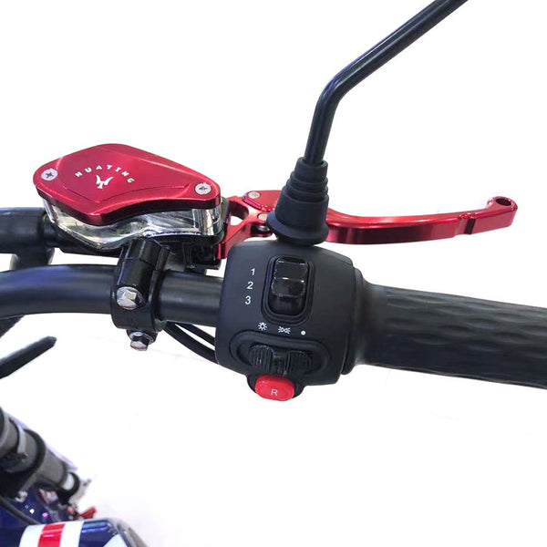 CRONY X1 Harley Electrocar car With BT Speaker 65KM/H Electrocar car Citycoco Fat Tire Electric motorcycle | Purple - Edragonmall.com