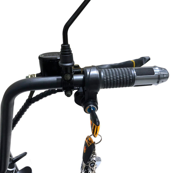 CRONY X3 BIG HARLEY+LI-ion battery+BT+double seat Electric motorcycle - Edragonmall.com