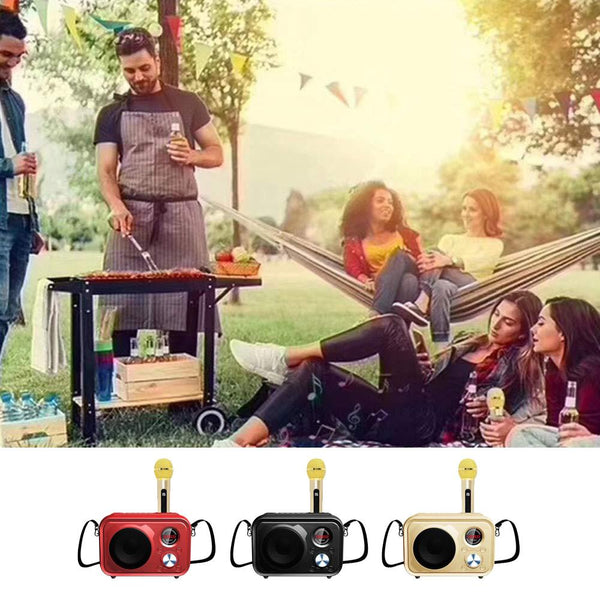 SDRD Sd-501 Home Speaker Microphone Integrated Single Sing Mobile Phone Karaoke | Gold - Edragonmall.com