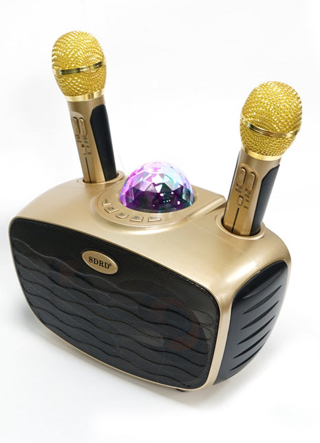 CRONY SD-315 BT Speaker karaoke bluetooth speaker with  2  microphones | Golden