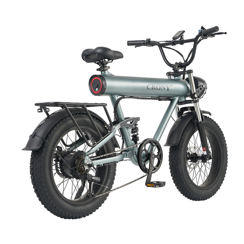 CRONY K20 Plus Electric Bicycle  Mountain Electric Bike 1000W 10AH Electric Style Bike Outdoor Entertainment Snow