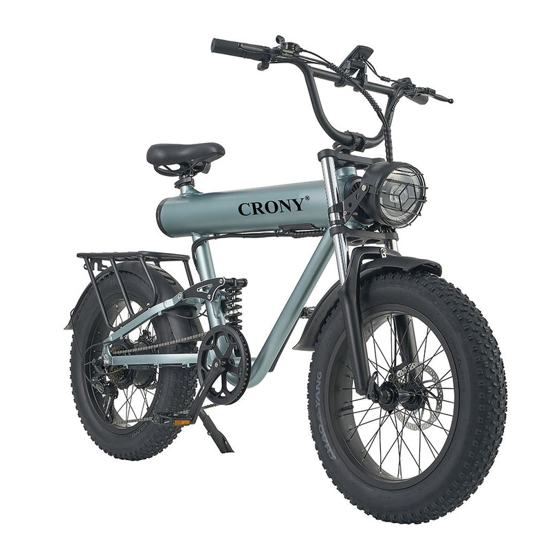 CRONY K20 Plus Electric Bicycle  Mountain Electric Bike 1000W 10AH Electric Style Bike Outdoor Entertainment Snow