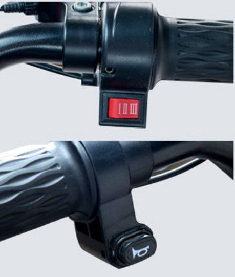 CRONY W1 motorcycle electric bike 350W 48V electric motorcycle Electric Bicycles