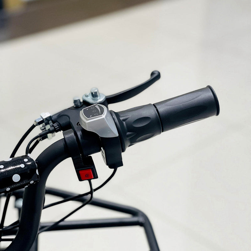 CRONY JL025-01 Electric ATV 500W Motor 36V/12AH Battery 15-18KM Range Disc Brakes Front/Rear Suspension 4X4 Drive Electric Motorcycle