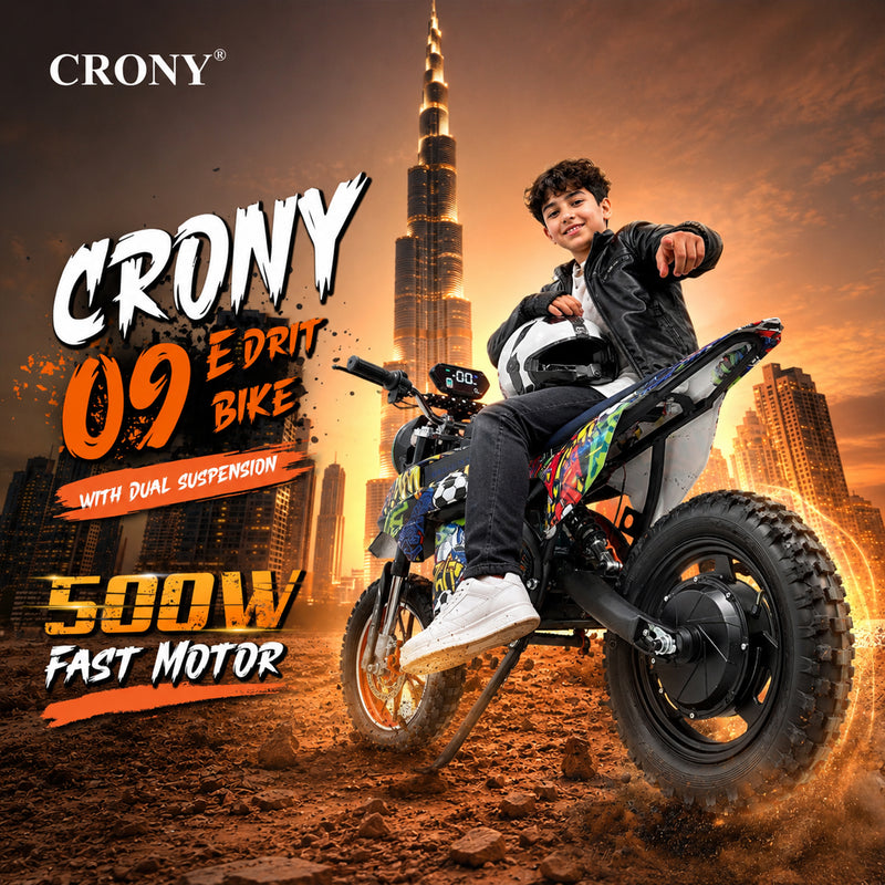 CRONY-09 Street Dance Electric Dirt Bike 350W Motor, 36V 12Ah Battery, 14 Inch Off-Road Tires, Up to 36KM/H Speed, LCD Display, LED Headlight, Bluetooth Speaker, Electric Motorcycle for Outdoor Riding, Durable Design, 1 Year Motor Warranty