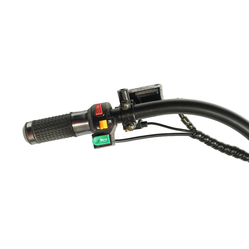 CRONY Small X1 48V15A/1200W Harley Car Electric bicycle Electric Motorcycle Ebike