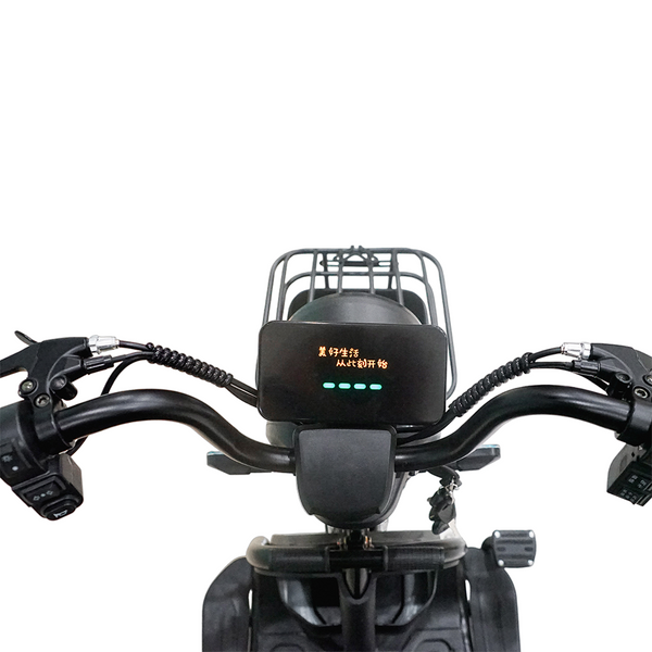 CRONY X3B motorcycle electric bike 350W 48V Electric Motorcycle Electric Bicycles 3 wheel motorcycle