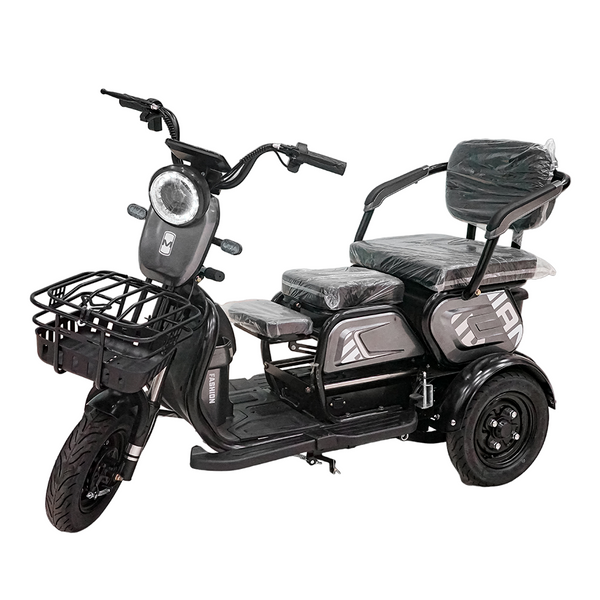 CRONY X3B motorcycle electric bike 350W 48V Electric Motorcycle Electric Bicycles 3 wheel motorcycle