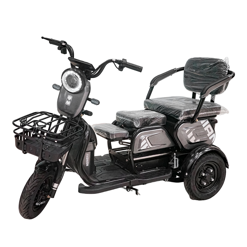 CRONY X3B motorcycle electric bike 350W 48V Electric Motorcycle Electric Bicycles 3 wheel motorcycle