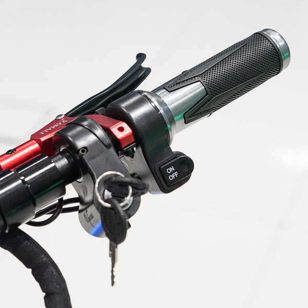 CRONY DK-11 LED 2800W 11 inch Wide tire High configuration E-Scoot bike 80-95KM/H Electric Scooter