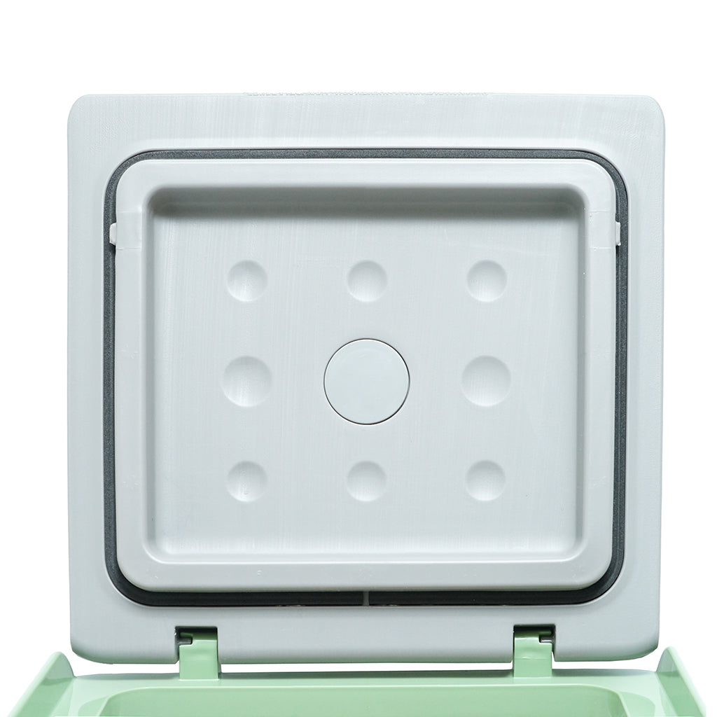 CRONY Car Refrigerator 9L-C9 compressor beauty mini fridge cosmetics skincare mobile cooler box