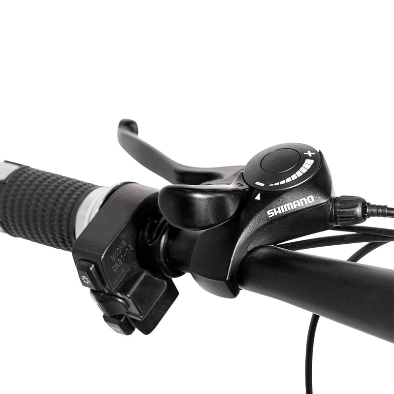 CRONY FA-018 Electric Scooter 250W Motor 36V/12AH Battery 20-50KM Range Disc Brakes Front Suspension Detachable Battery electric bike