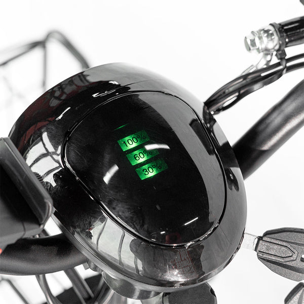 CRONY 18inch Take-out electric bicycle BIKE Fast food delivery electric bike