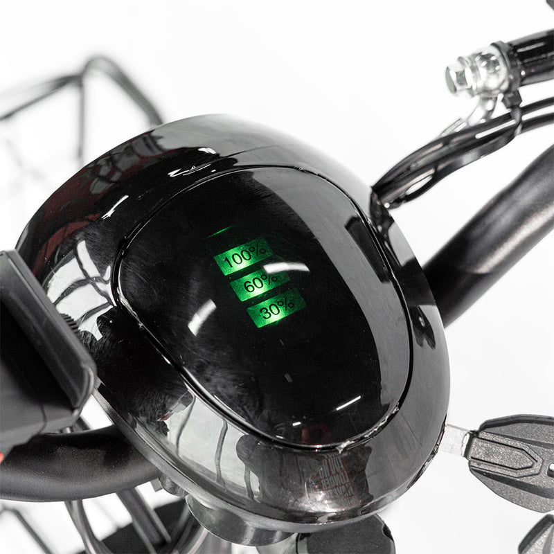 CRONY 18inch Take-out electric bicycle BIKE Fast food delivery electric bike