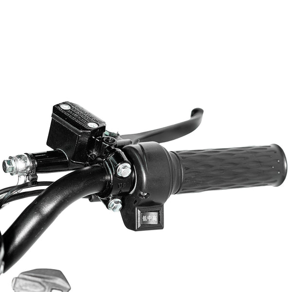 CRONY 18inch Take-out electric bicycle BIKE Fast food delivery electric bike