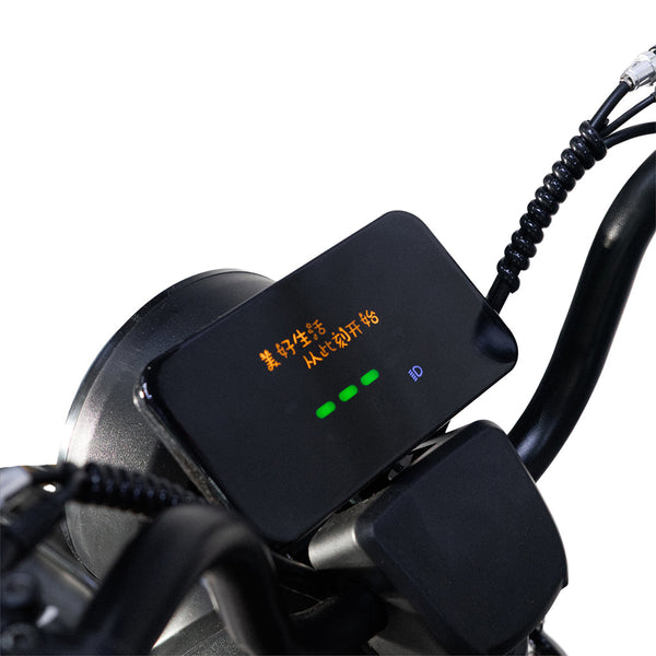 X3B motorcycle electric bike 350W 48V electric motorcycle Electric Bicycles 3 wheel motorcycle